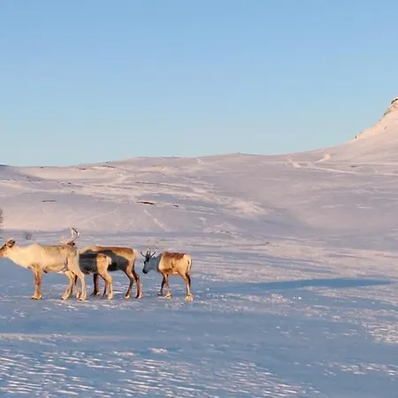 アパート Kammi キルピスヤルヴィ